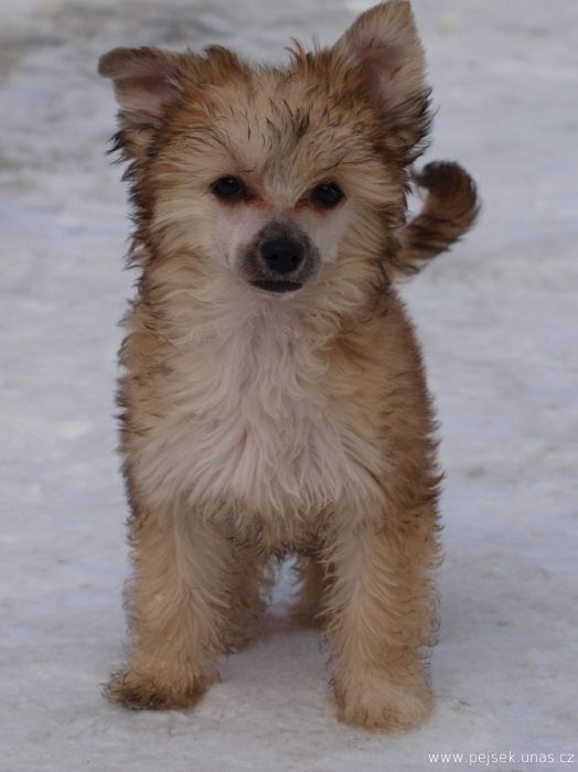 Sarita ze Zatopené chajdy