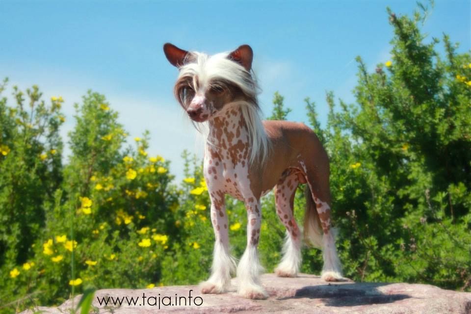 Nina's K Here's looking at you,Kid