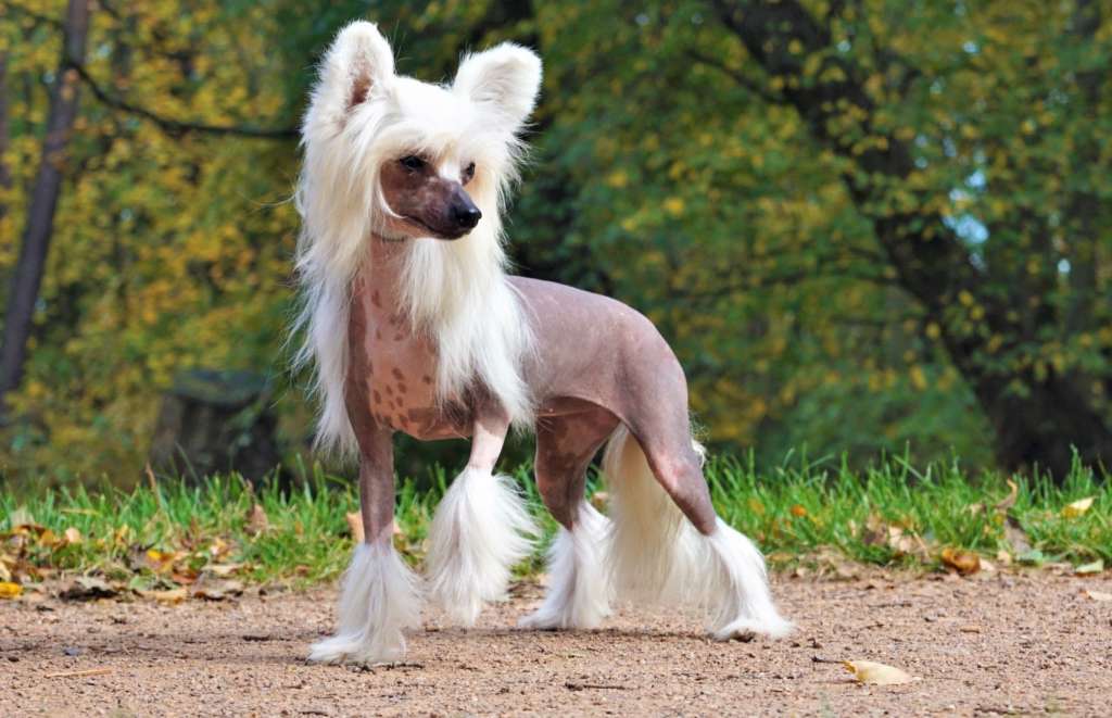 Long-awaited Heybett