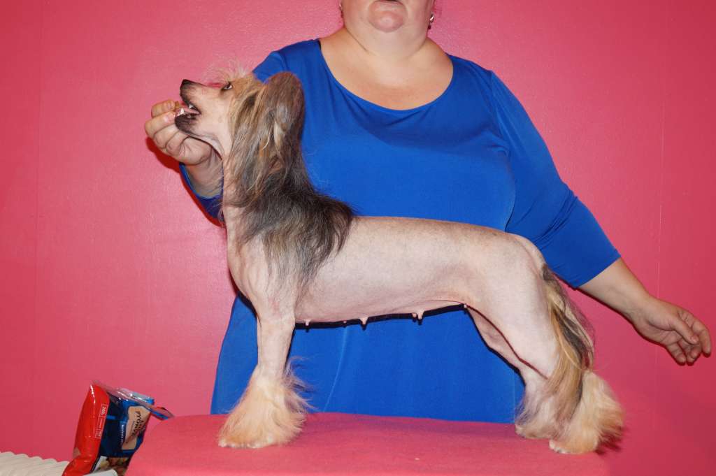 Sun Dan Girls Having Fun