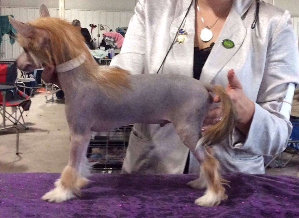 Famous Playboy Playing with Magic