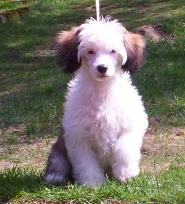 Prefix Valle Vagabond