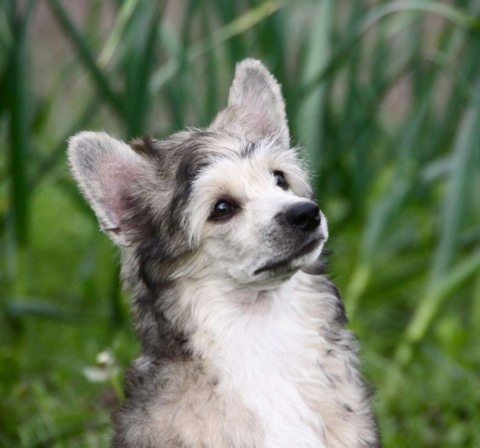 Credo Marini Be Well Made