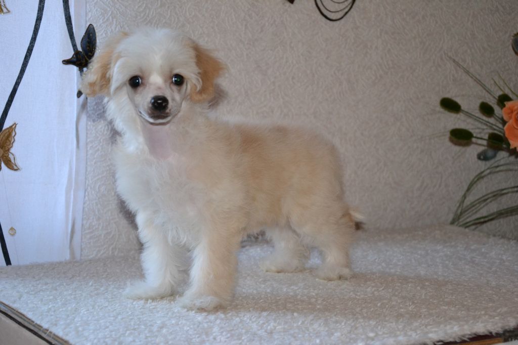 De La Mahafu's GlamMiss Jecho