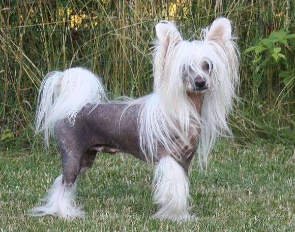 Speechless Watch Out