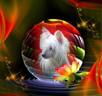 moon harbour first kiss