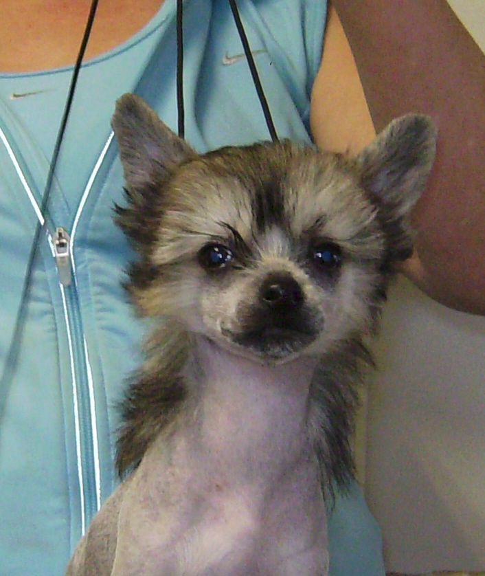 Kalan's Good Girls Don't Cry