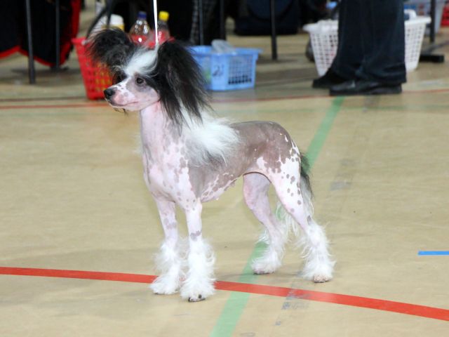 Sun-Hee's Booty Bumping