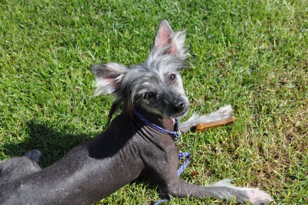 Poulot's C You Behind Me