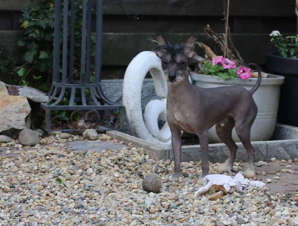 Xcess old Blood Diamond Place