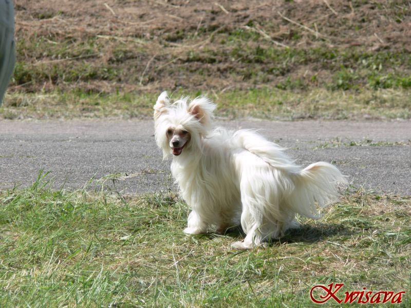 Barbietta z Teramonu