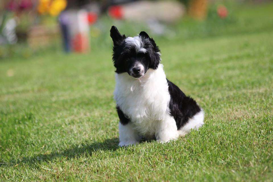 MAYBACH Ready for love