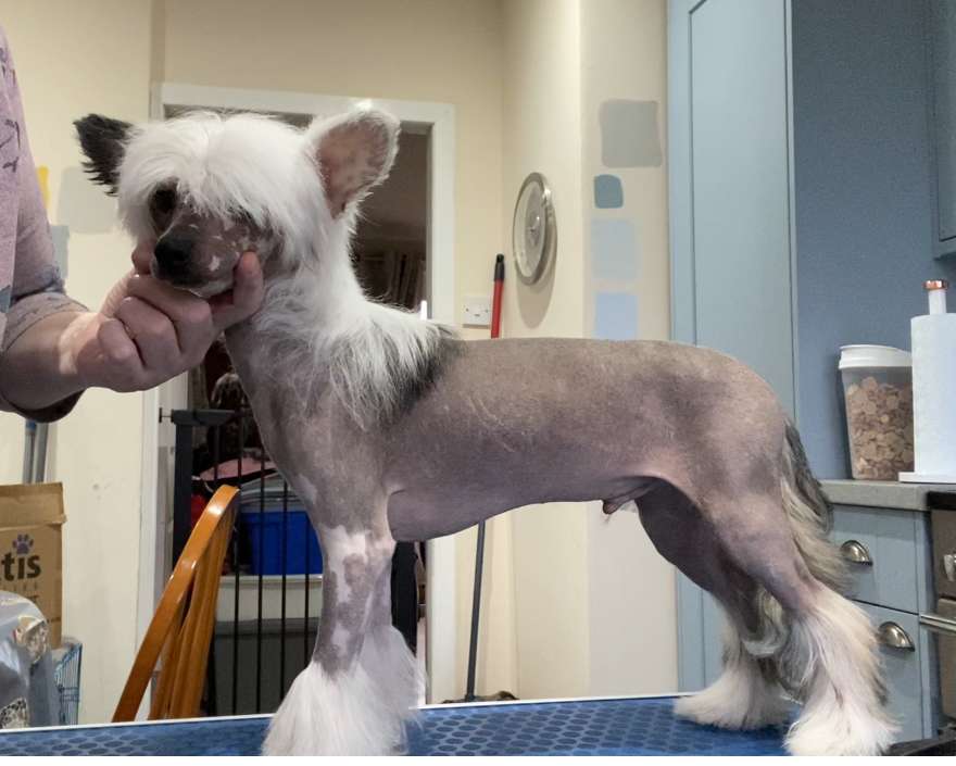 Miatory First Edition