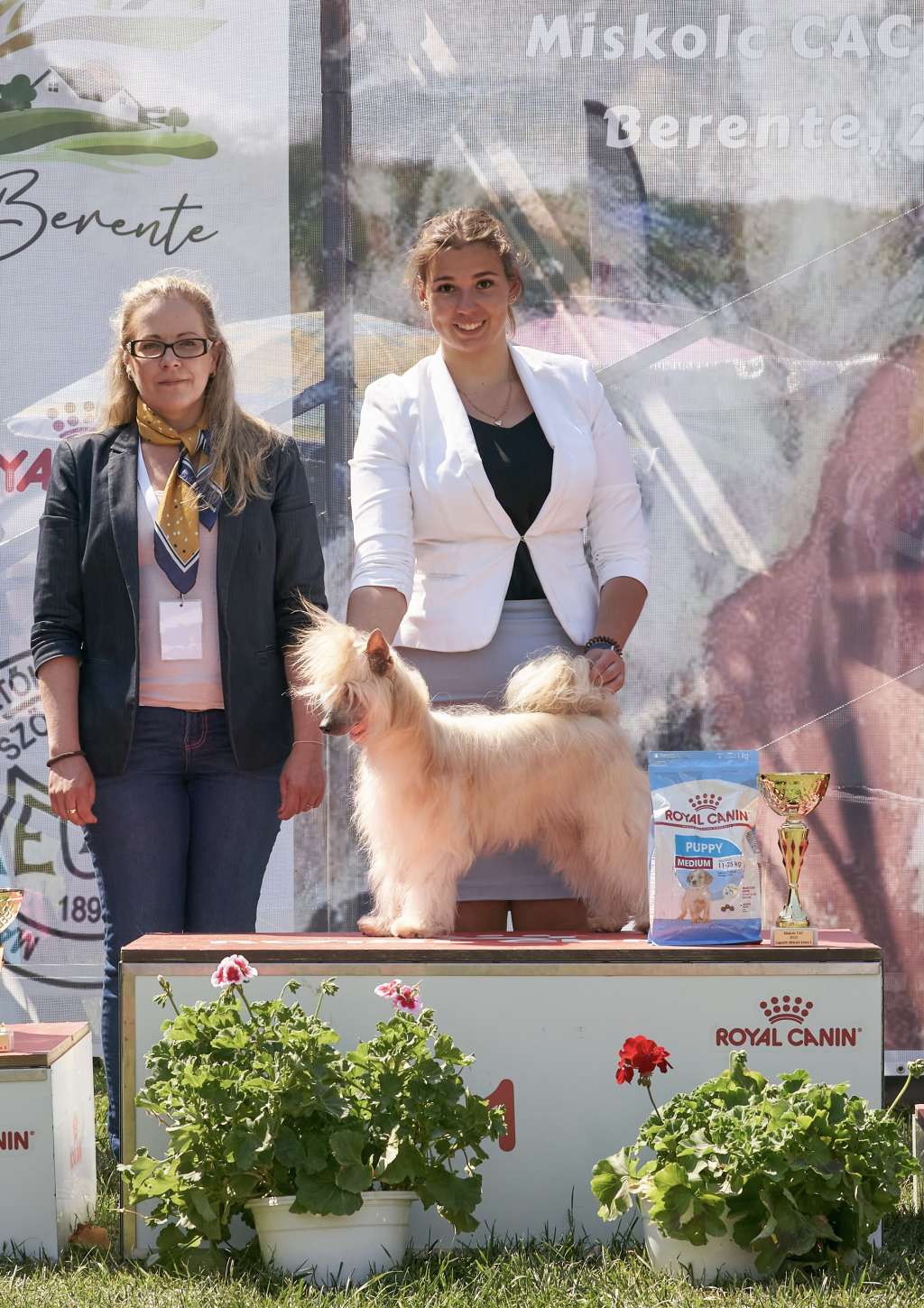 Fancy Flowers Bailey's