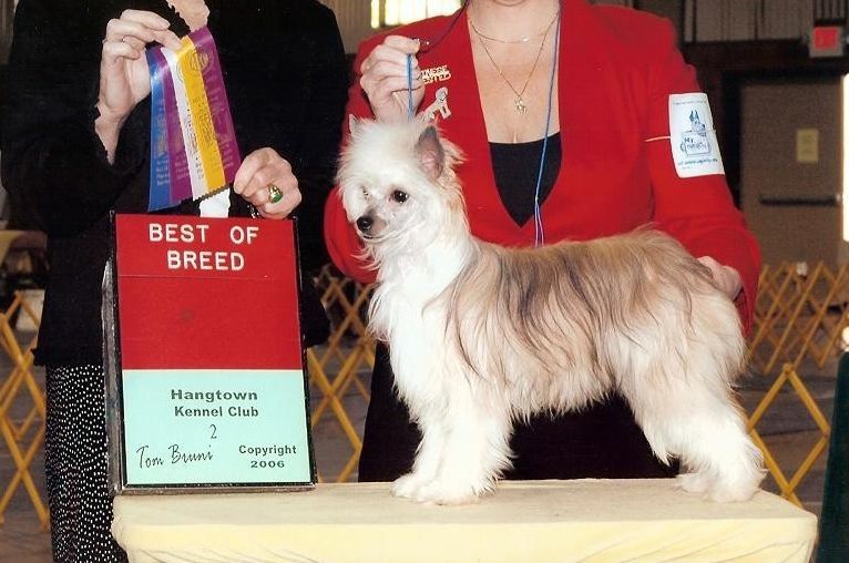 Sundown's XuXa RockinRollin