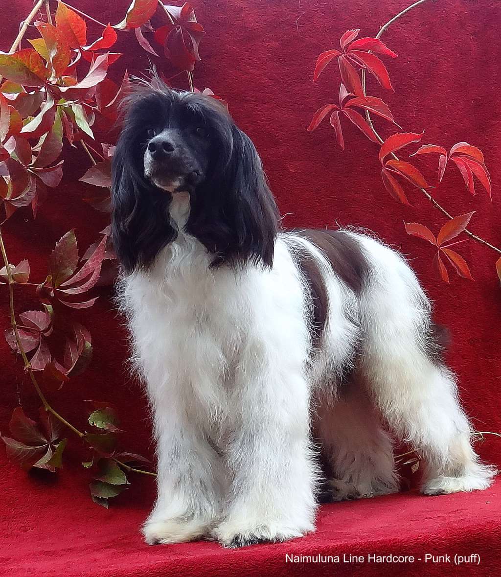 Naimuluna Line Hardcore - Punk (puff)