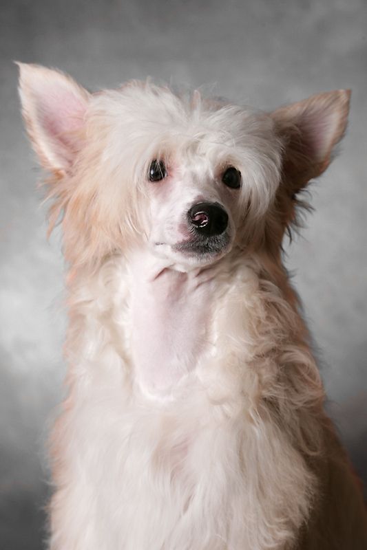 Danchester's All Hope In Me