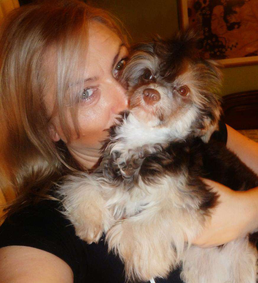 Ovatii Shock of Beauty