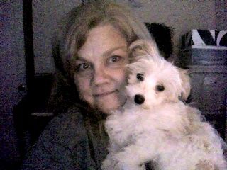 Murphy's Law of Tabby Ln