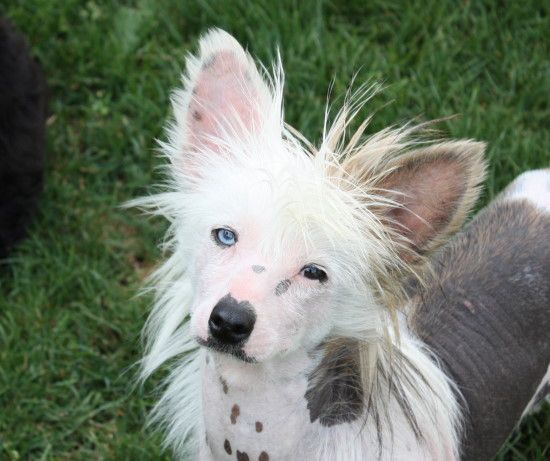 Mstical Man In A Blue Moon