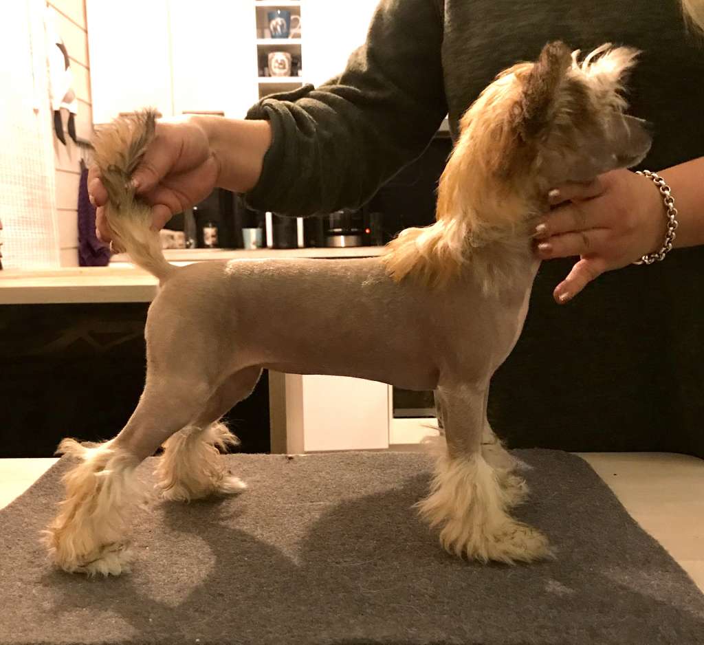 Royalette's Glitter Boost