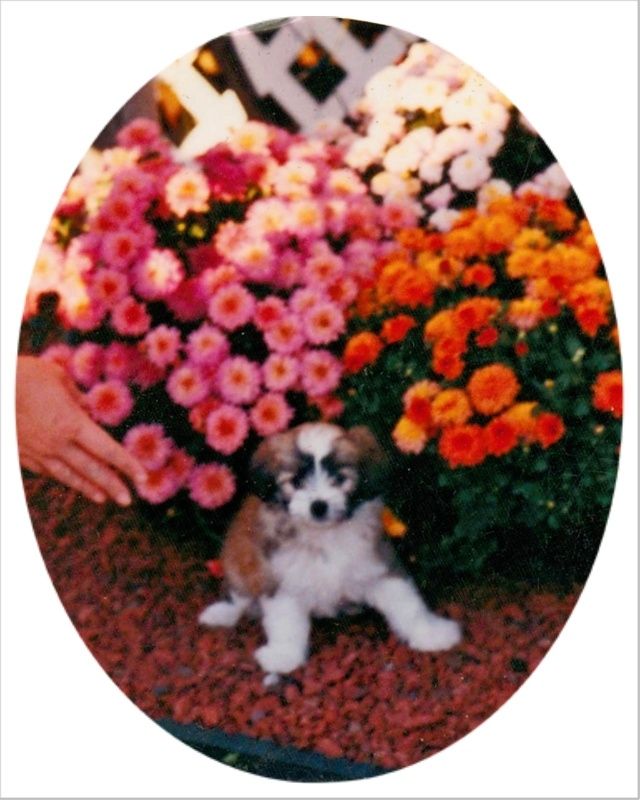 Wal-Len's Custom Mel