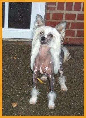 Shambhala's Blue Sky