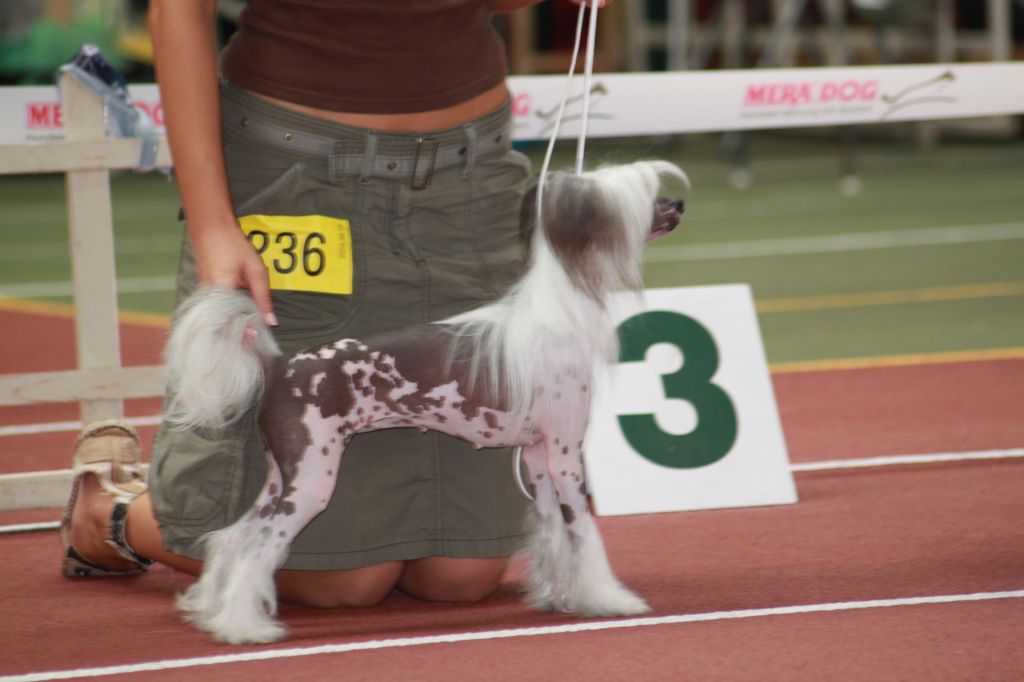 Kissed Beauty Epocha