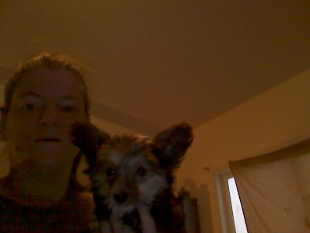 BlueIris's In The Land Of Dixie PP