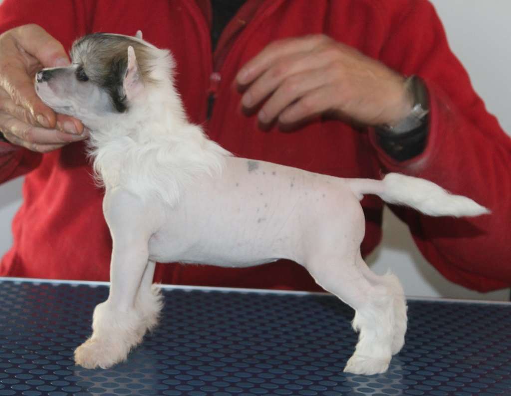 Cold baby de Almamasan