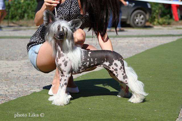 Family Mar'S Cospozha Udacha