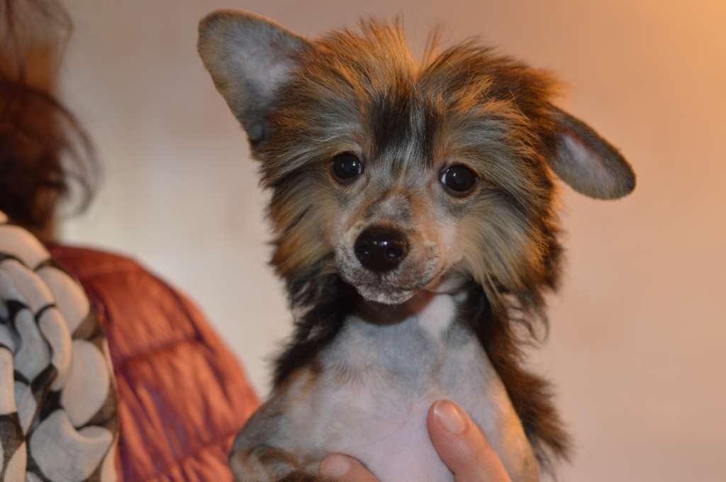 Unica Beauty z Andelovy dlane