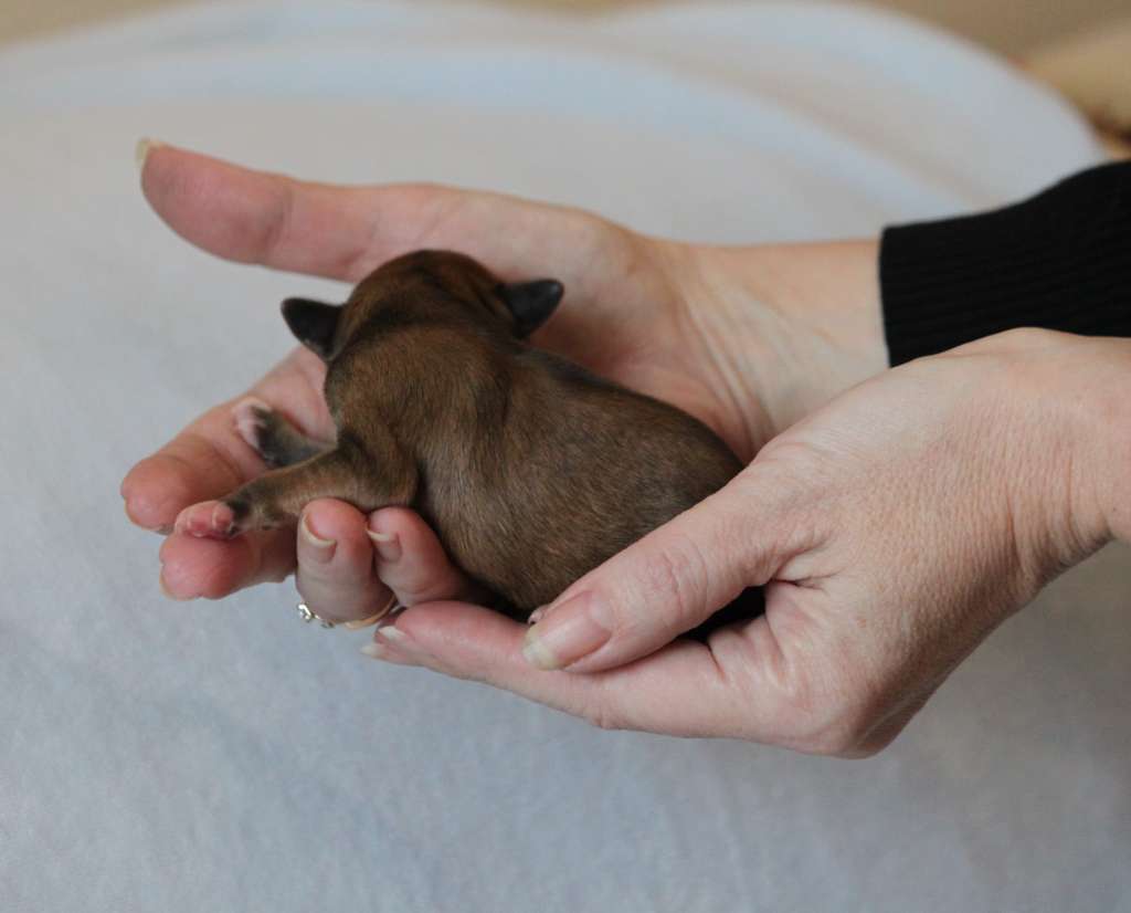 Charming my love Mia