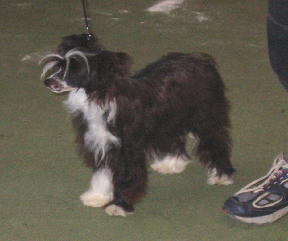 Kazlyn Lady Ina Jacket