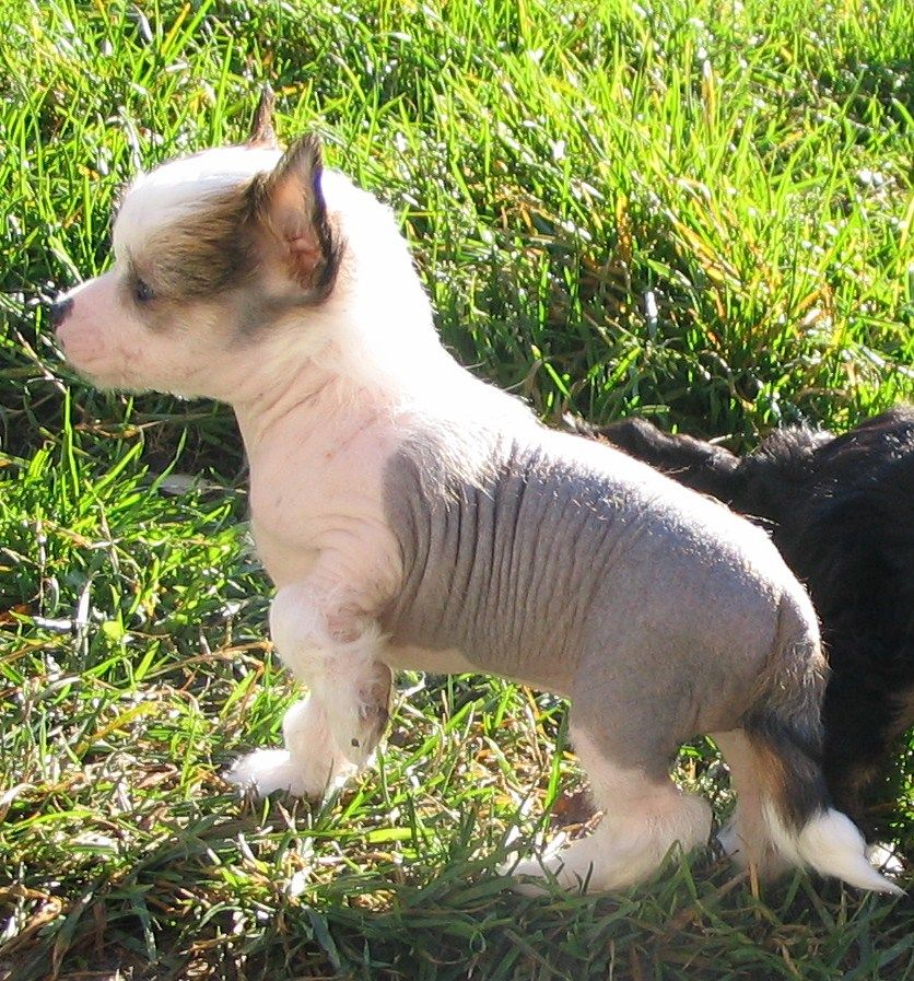 Spirit Of Mantra's Cocos Berta