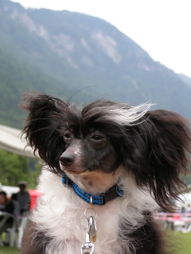 Geneviev Kalis Z Treste