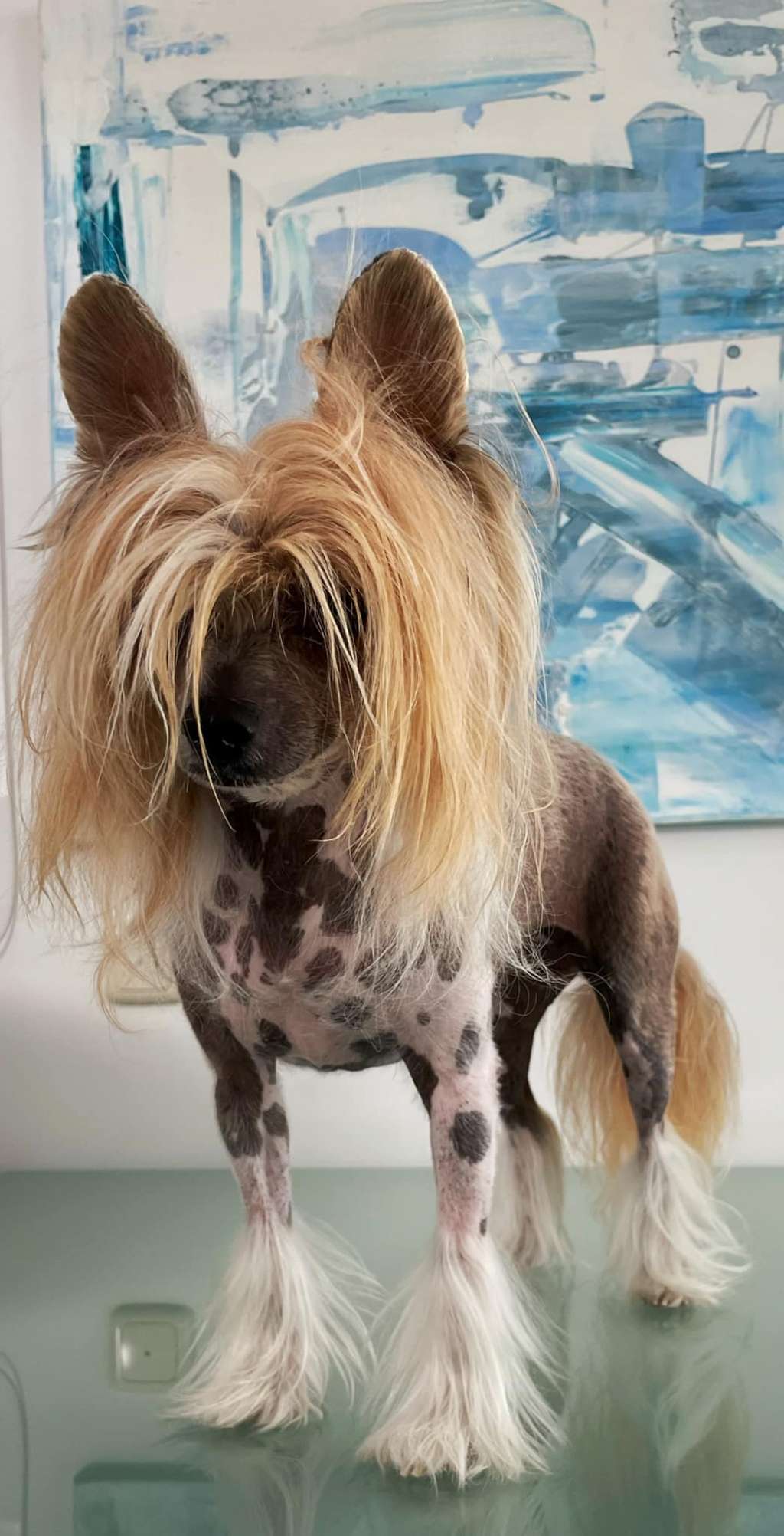 Mercedes Little Charmings