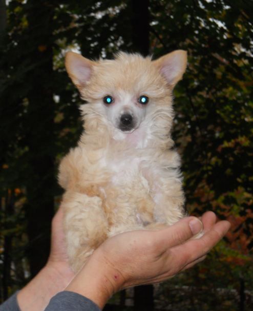 Mythic Minimalism At It's Best