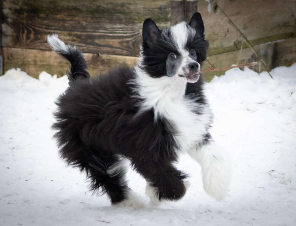 Beyesa's U R Alright