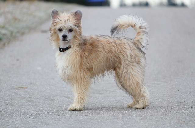 Absolute Power vom Bayrischen Meer