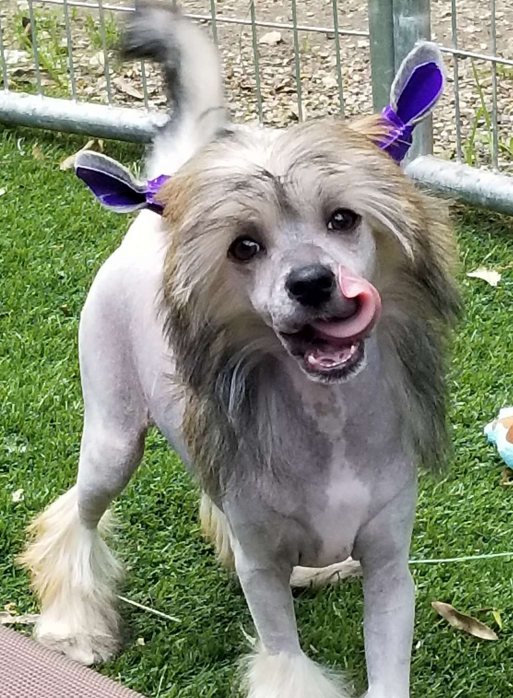 Tryfecta Southern Moonshine