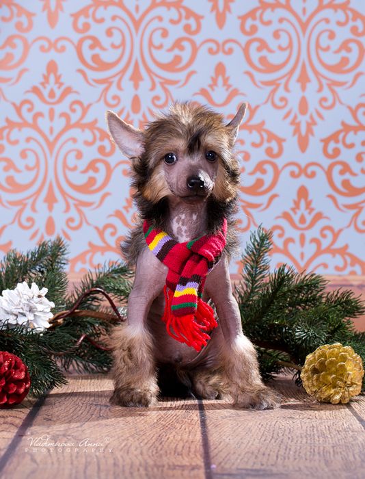 Envy White Keeper of the Flame