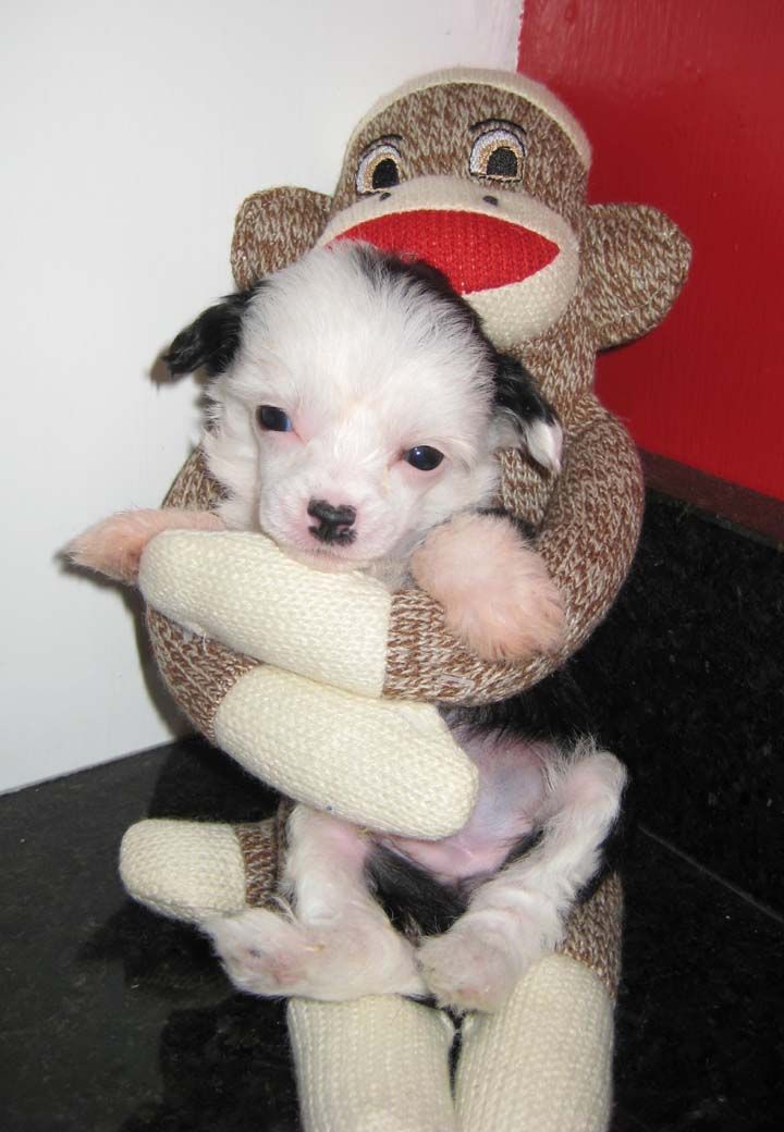 Jewels Lost And Found