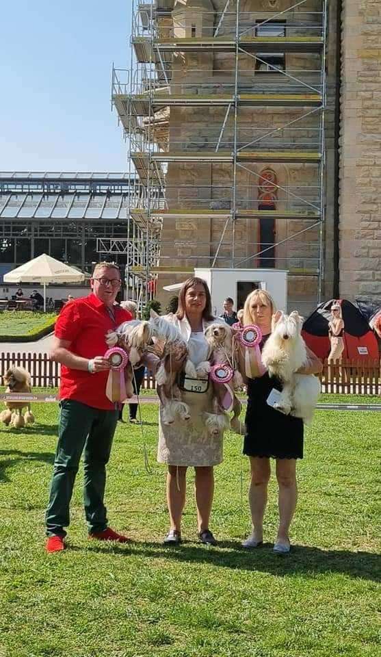 Lord Lary Kings Of Dreams