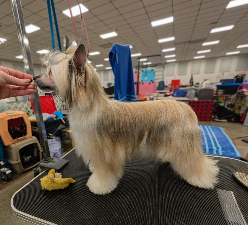 Denali's Art Of Umami