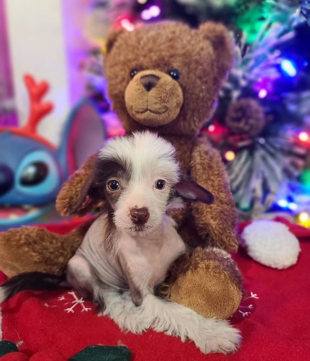 Long Haul's Hear My Wrath Whispered Softly