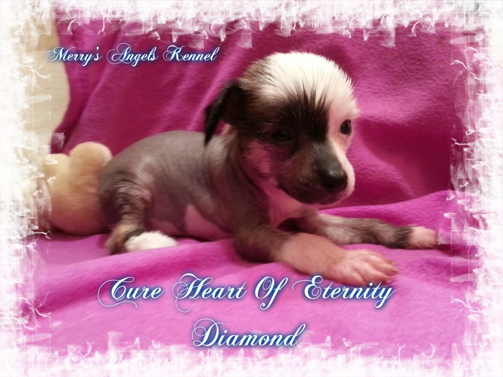 Cure Heart Of Eternity Diamond