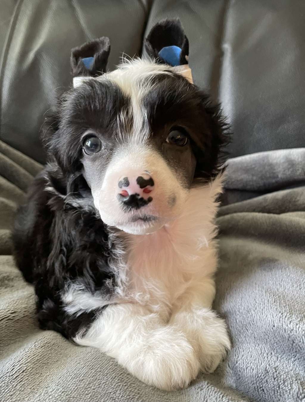 Maybell's Spring Shower