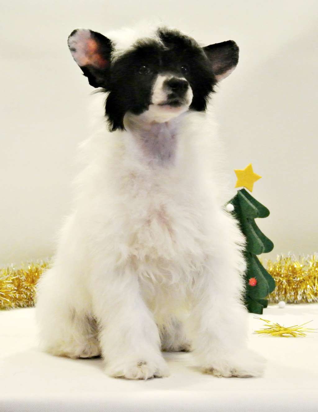 Fiery Fame Half Of My Soul