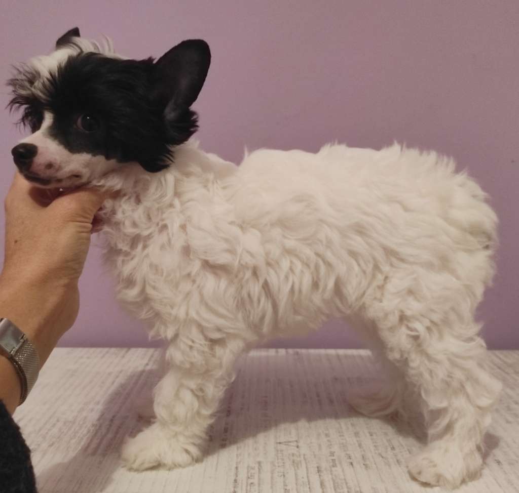 Zelendaya beautiful girls